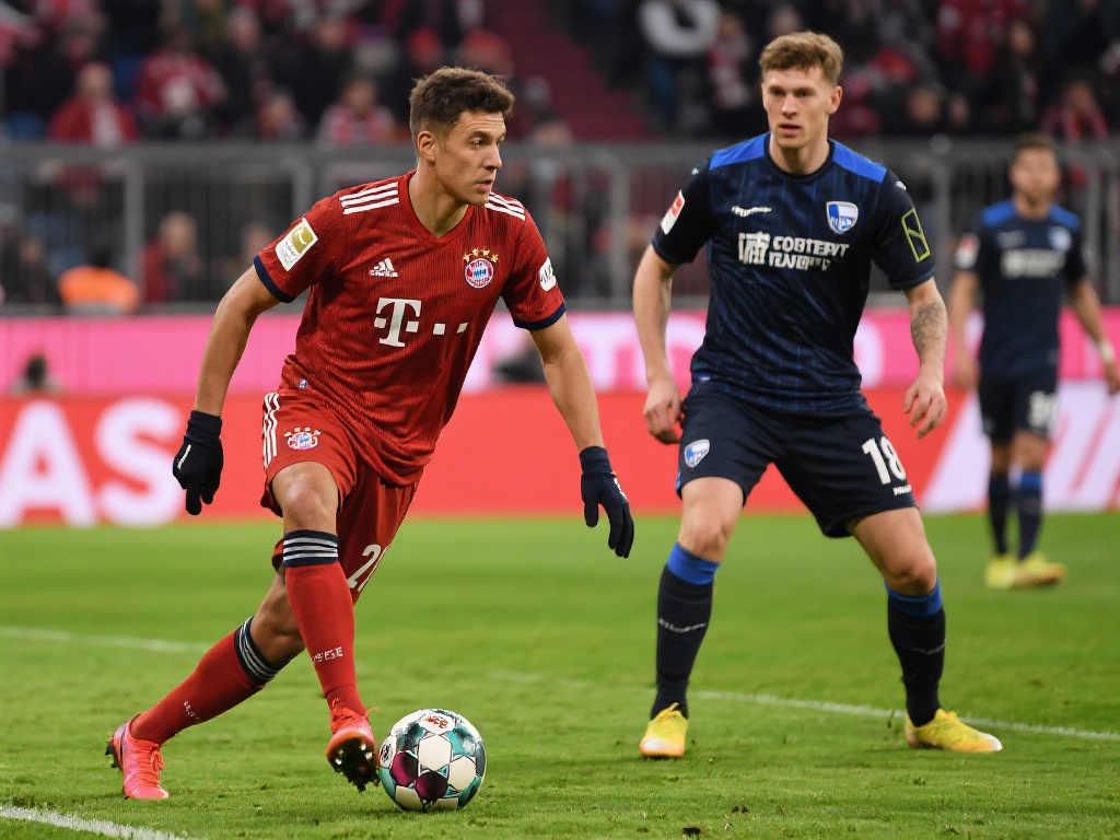 引发了无数 引发了无数